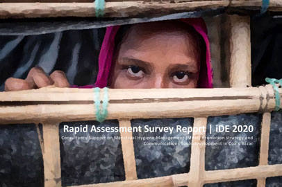 Rapid Assessment Survey Report | iDE 2020
